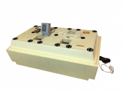 ИНК 2020 ИНК 2020